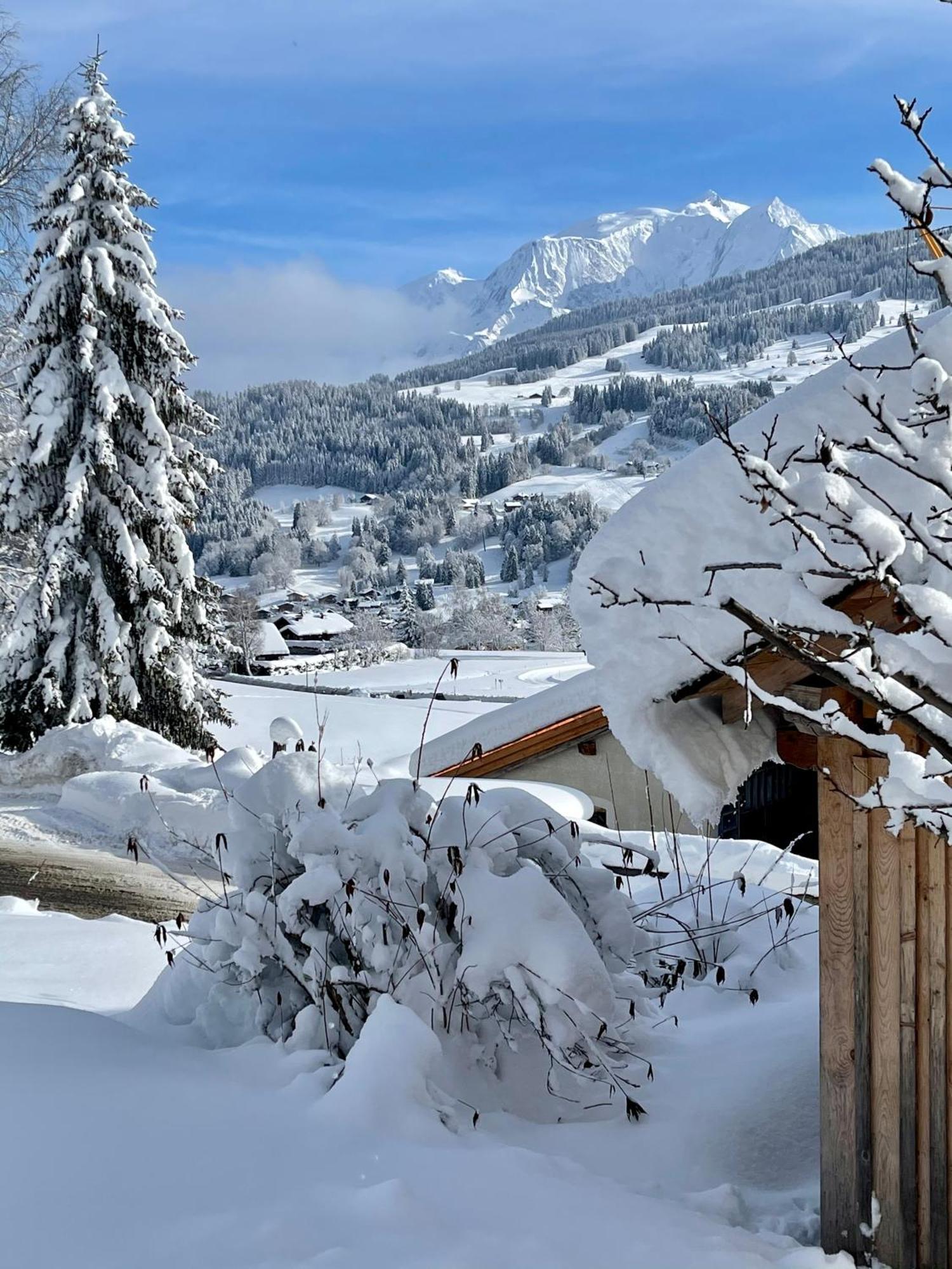 Chalet A Megeve-Vauvray - Grands Appartements , Vue Mont Blanc Demi-Quartier Exterior foto