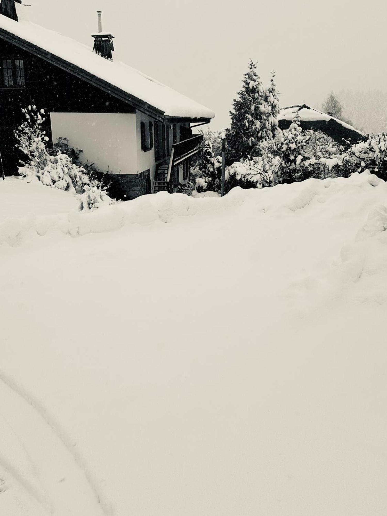 Chalet A Megeve-Vauvray - Grands Appartements , Vue Mont Blanc Demi-Quartier Exterior foto